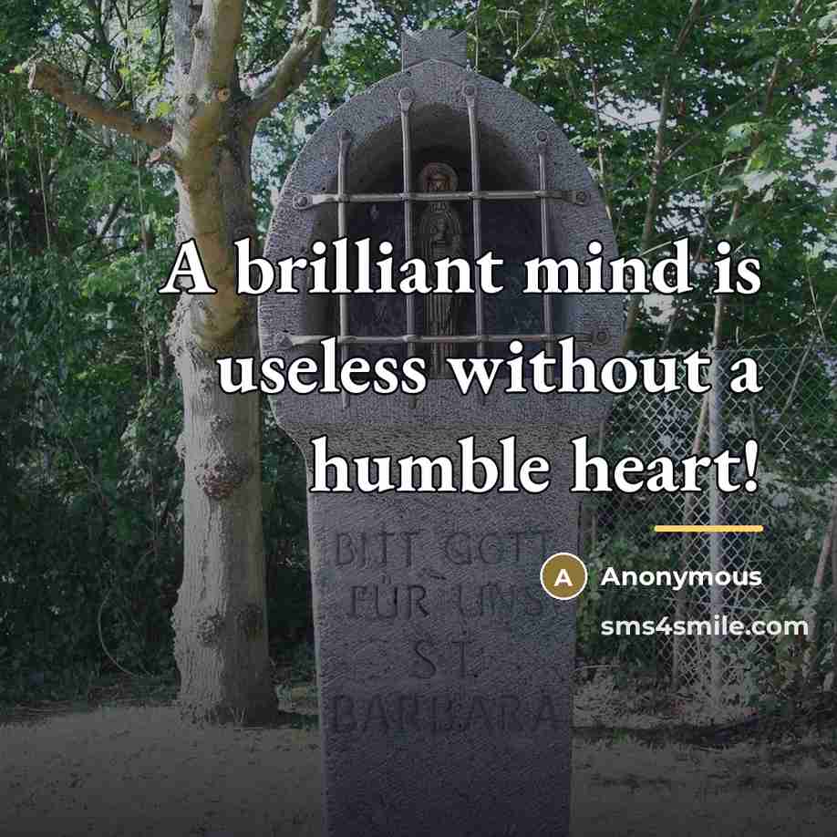 “A brilliant mind is useless without a humble heart!…” quote by Anonymous