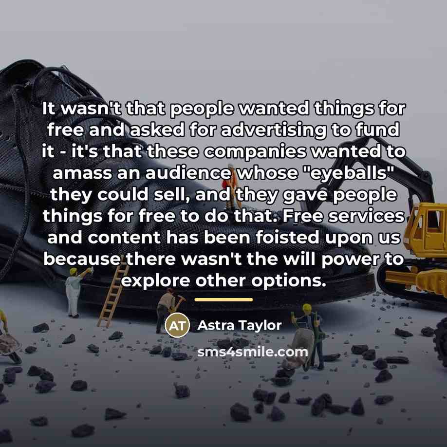 “It wasn't that people wanted things for free and asked…” quote by Astra Taylor