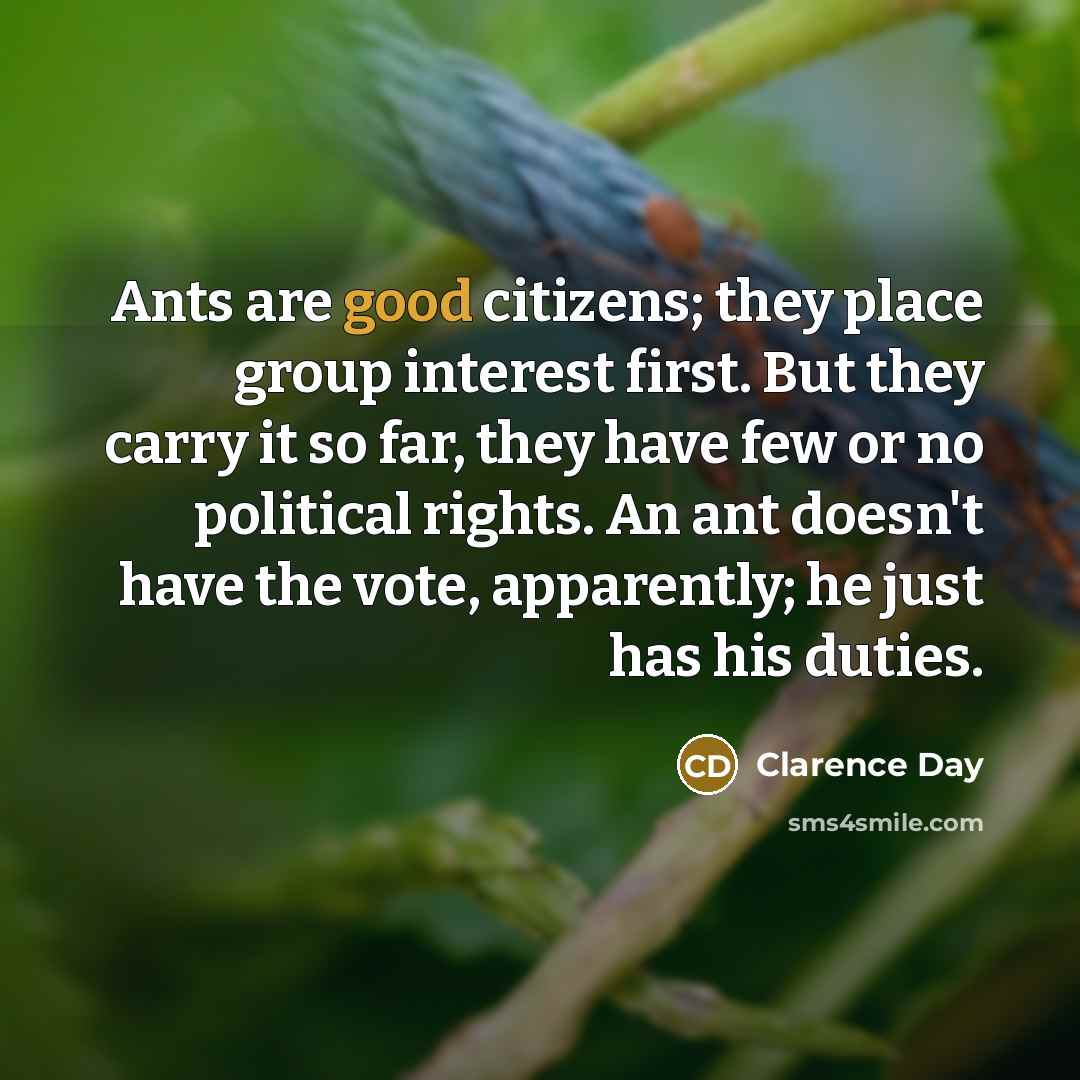 “Ants are good citizens; they place group interest first. But…” quote by Clarence Day
