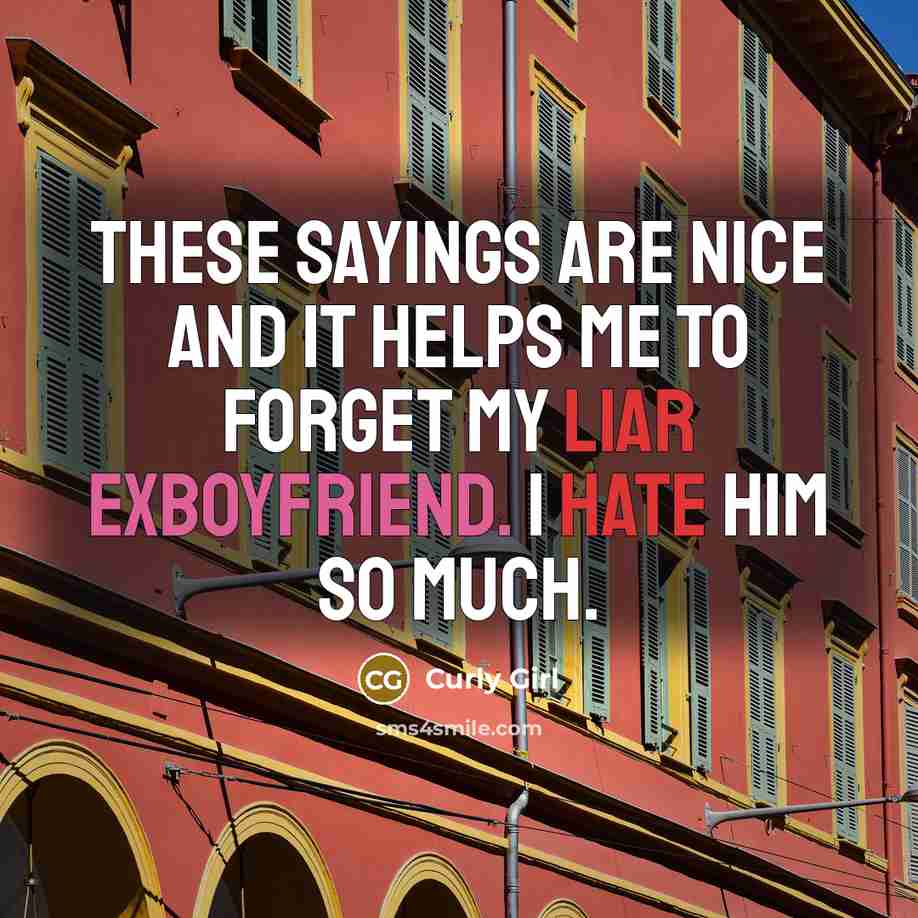 “These sayings are nice and it helps me to forget my liar exboyfriend. I hate him so much.” quote by Curly Girl