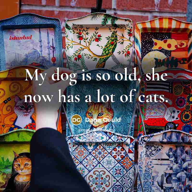 “My dog is so old, she now has a lot…” quote by Dana Gould