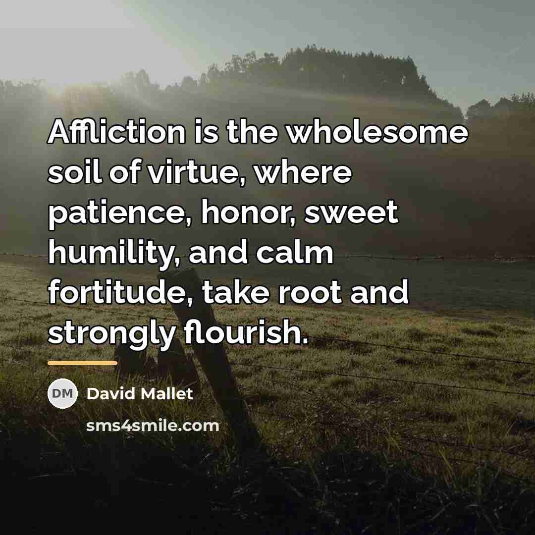 “Affliction is the wholesome soil of virtue, where patience, honor,…” quote by David Mallet