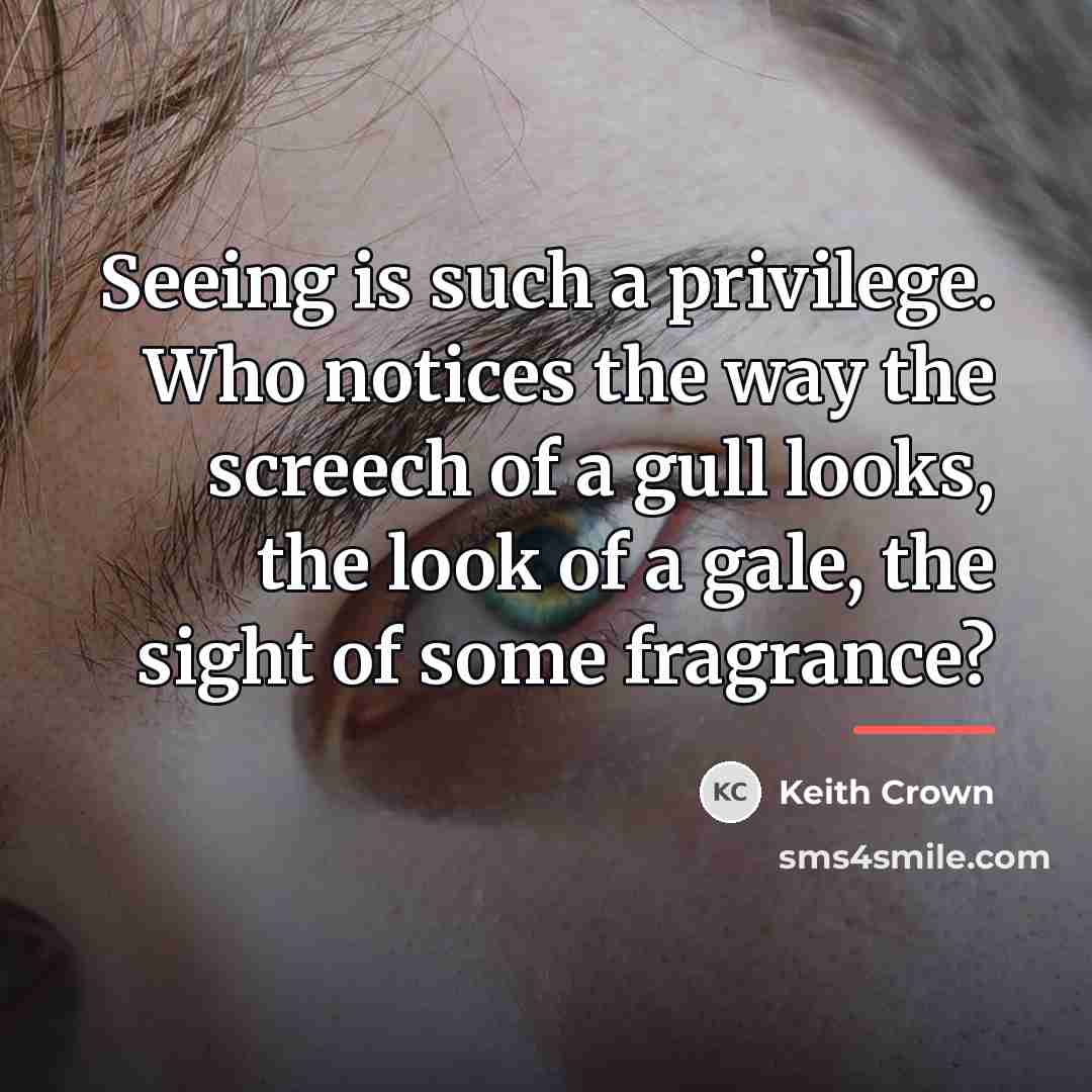 “Seeing is such a privilege. Who notices the way the…” quote by Keith Crown