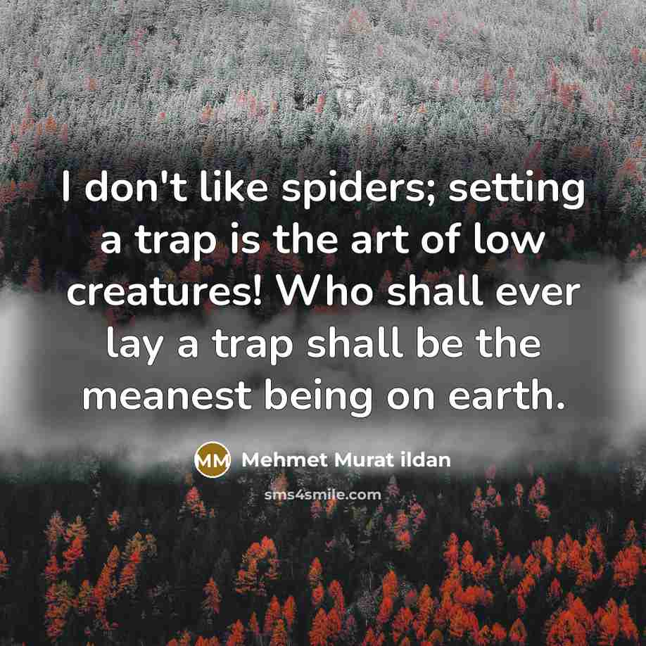 “I don't like spiders; setting a trap is the art…” quote by Mehmet Murat Ildan