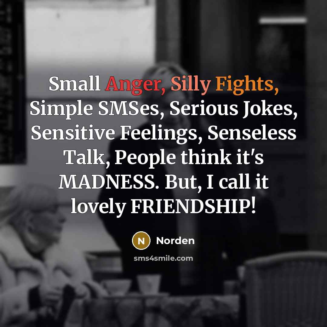 “Small Anger, Silly Fights, Simple SMSes, Serious Jokes, Sensitive Feelings, Senseless Talk, People think it's MADNESS. But, I call it lovely FRIENDSHIP!” quote by Norden