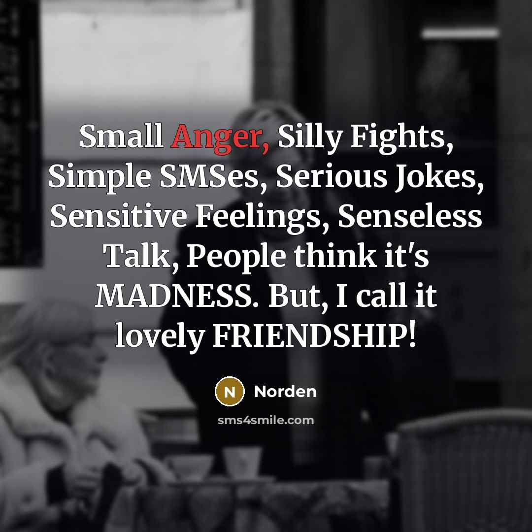 “Small Anger, Silly Fights, Simple SMSes, Serious Jokes, Sensitive Feelings,…” quote by Norden