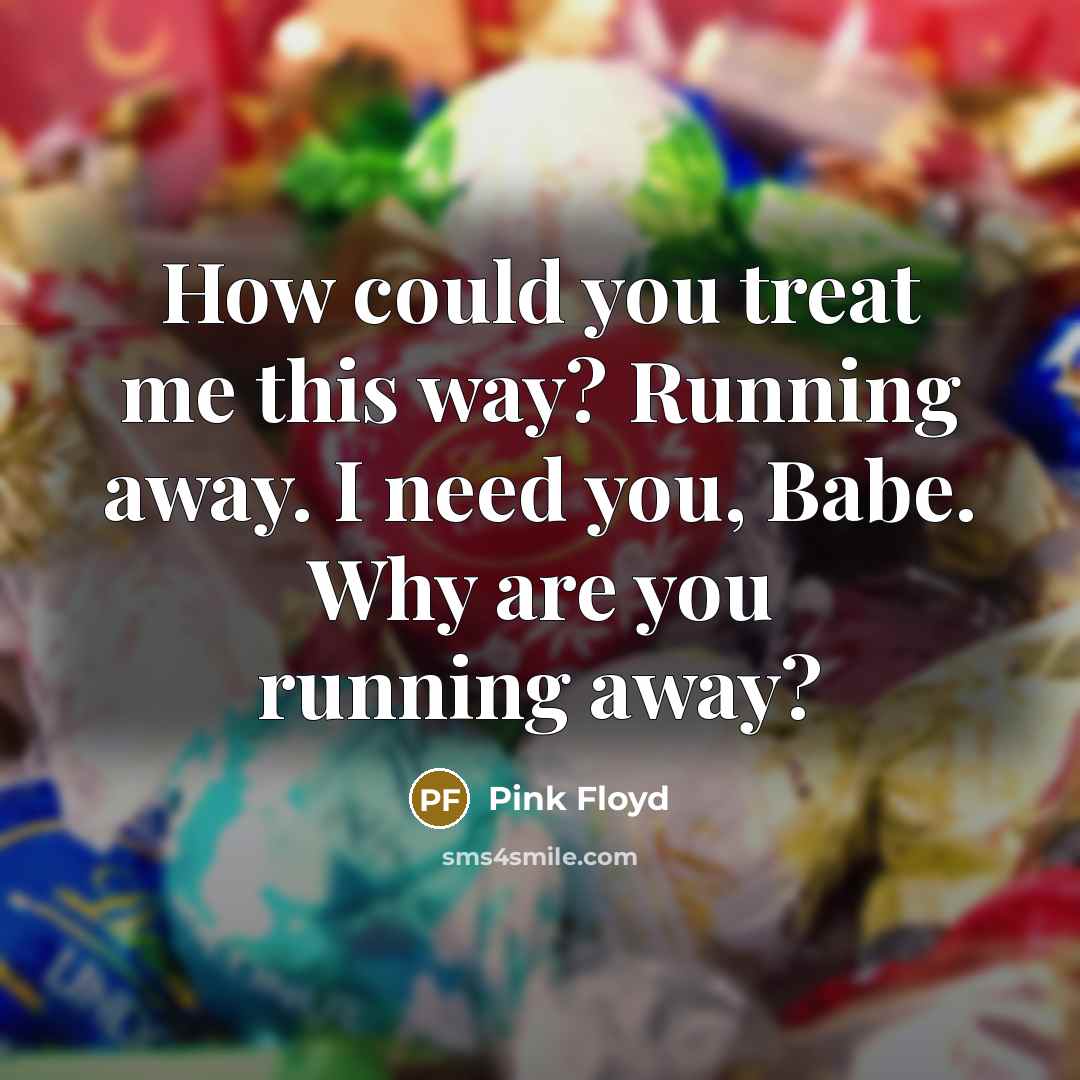 “How could you treat me this way? Running away. I need you, Babe. Why are you running away?” quote by Pink Floyd