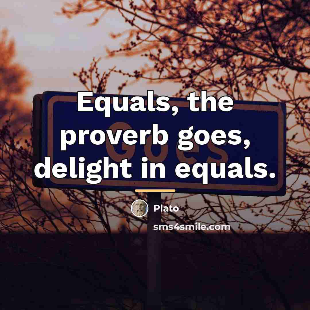 “Equals, the proverb goes, delight in equals.…” quote by Plato