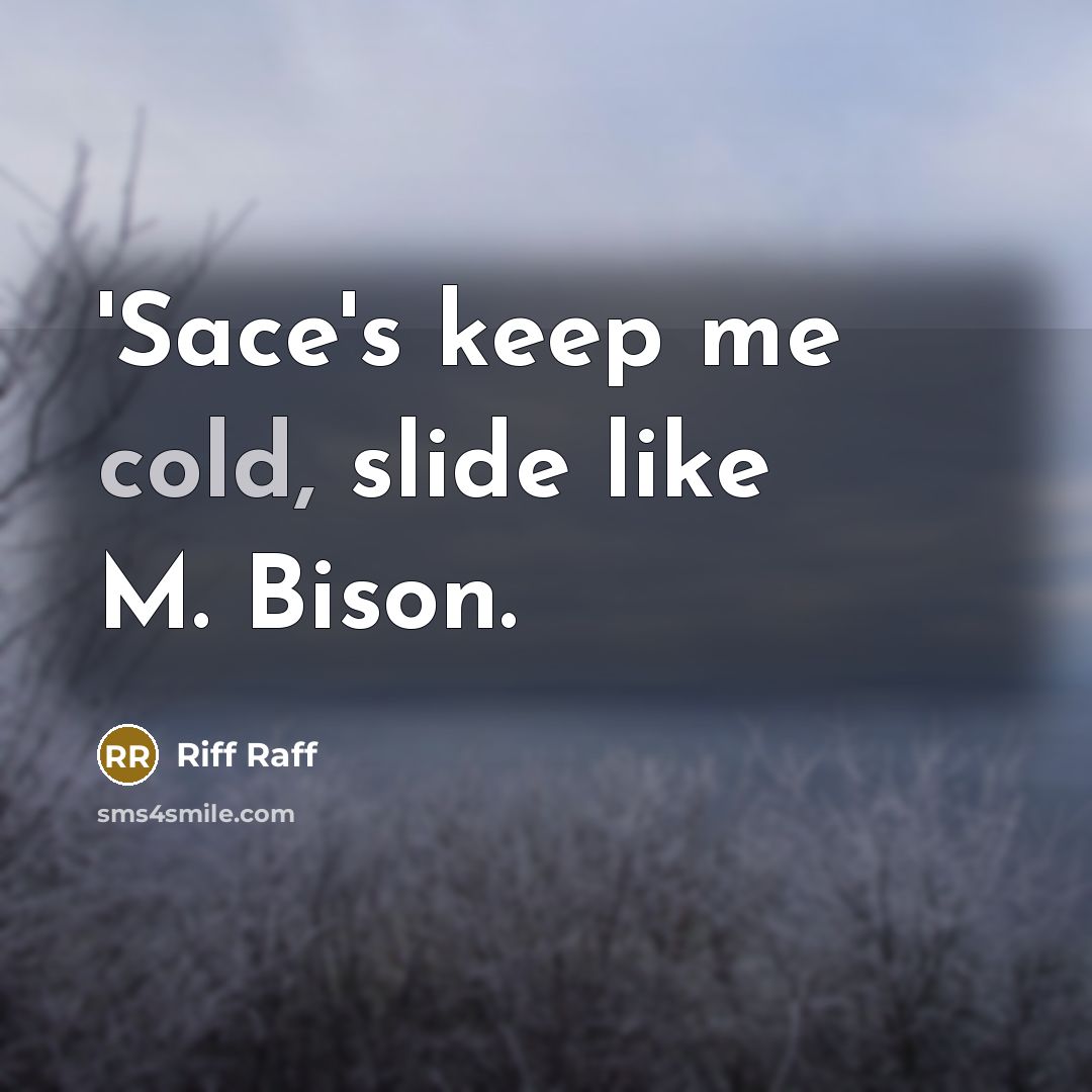 “'Sace's keep me cold, slide like M. Bison.” quote by Riff Raff
