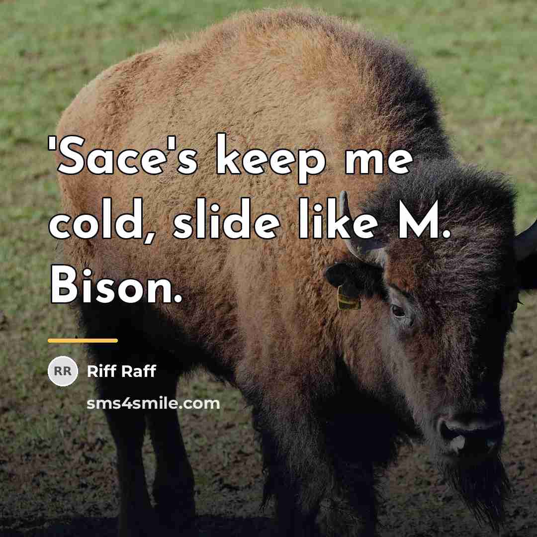 “'Sace's keep me cold, slide like M. Bison.…” quote by Riff Raff