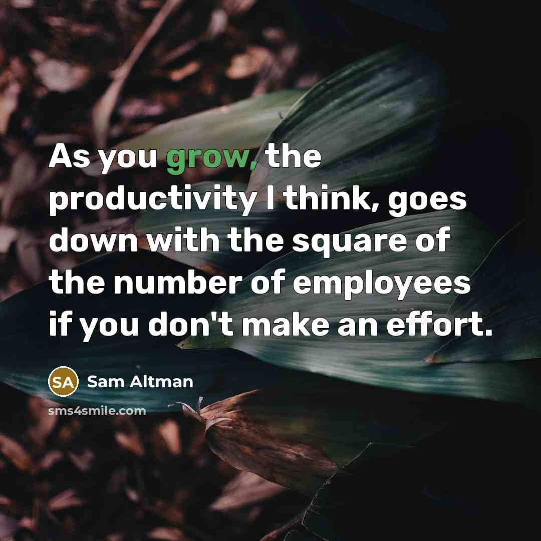 “As you grow, the productivity I think, goes down with…” quote by Sam Altman