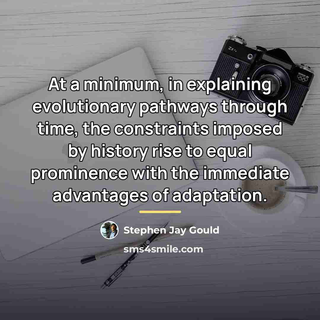 “At a minimum, in explaining evolutionary pathways through time, the…” quote by Stephen Jay Gould