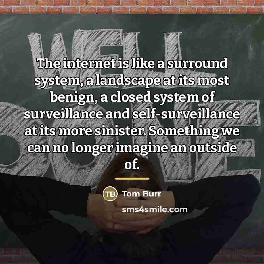 “The internet is like a surround system, a landscape at…” quote by Tom Burr
