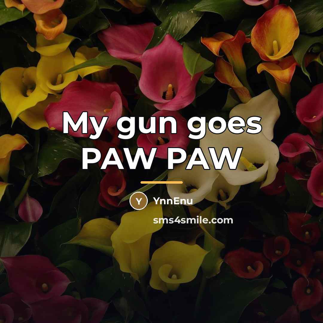“My gun goes PAW PAW…” quote by YnnEnu