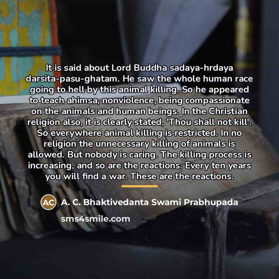 “It is said about Lord Buddha sadaya-hrdaya darsita-pasu-ghatam. He saw…” quote by A. C. Bhaktivedanta Swami Prabhupada