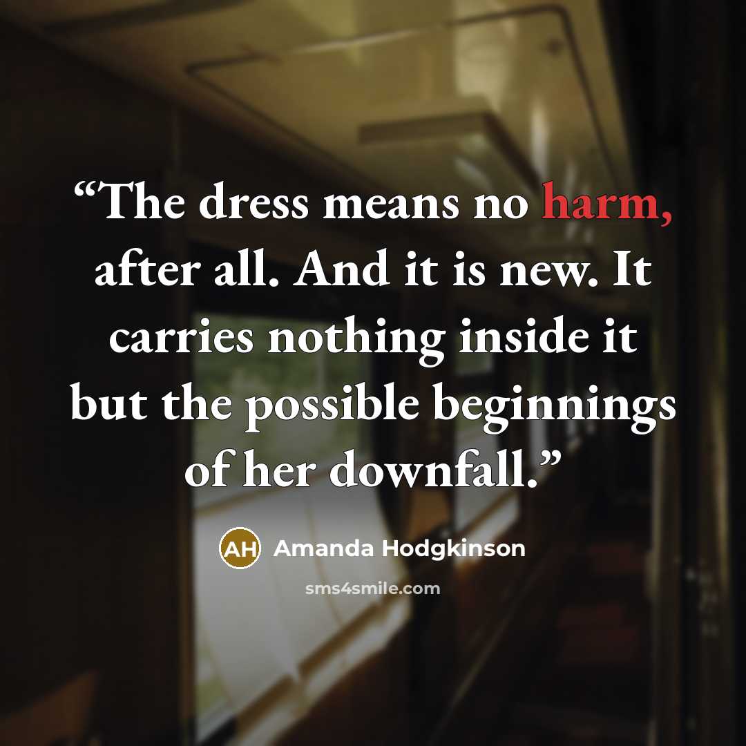 “The dress means no harm, after all. And it is new. It carries nothing inside it but the possible beginnings of her downfall.” quote by Amanda Hodgkinson