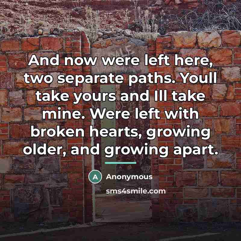 “And now were left here, two separate paths. Youll take…” quote by Anonymous