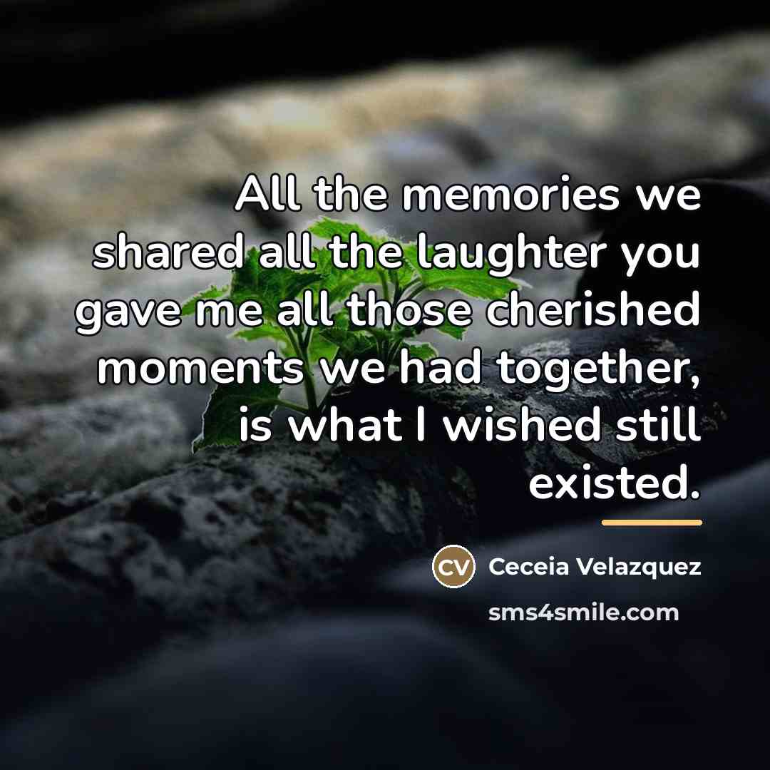“All the memories we shared all the laughter you gave…” quote by Ceceia Velazquez