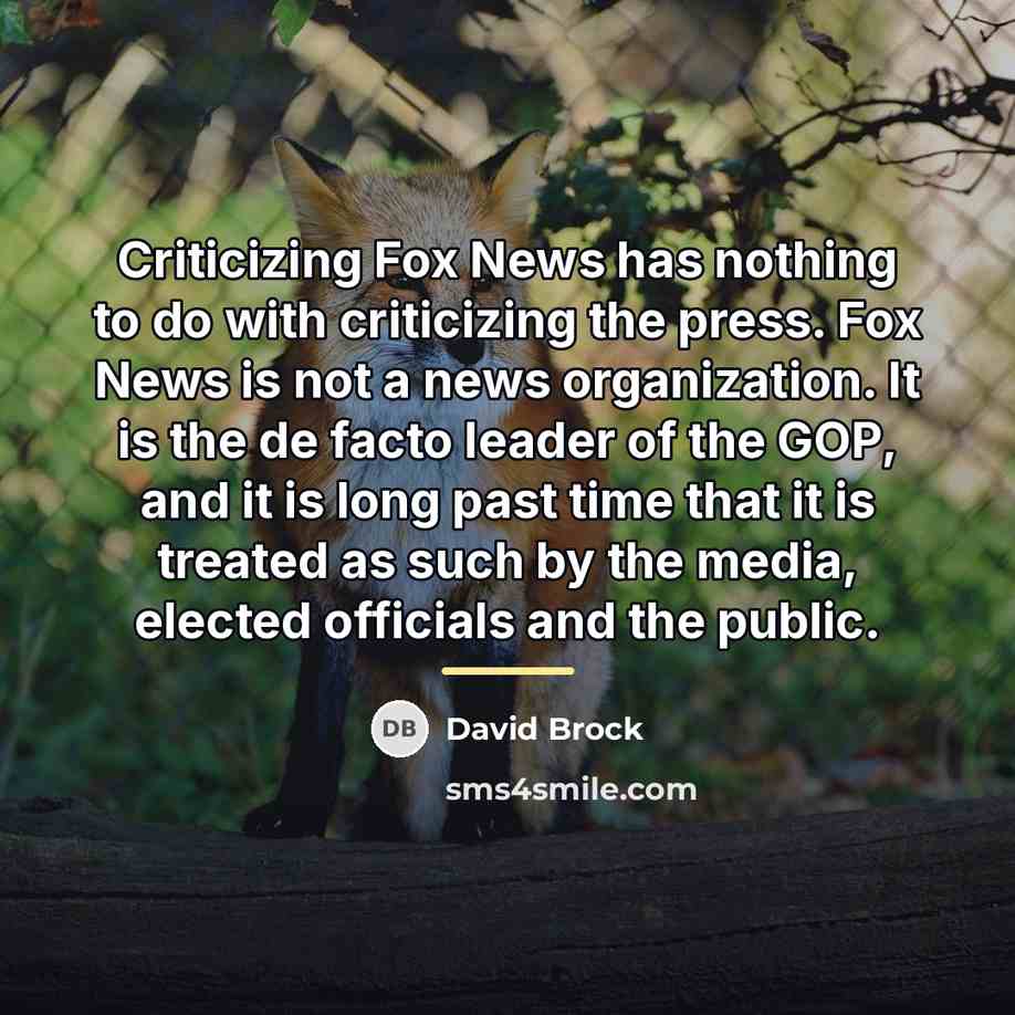 “Criticizing Fox News has nothing to do with criticizing the…” quote by David Brock