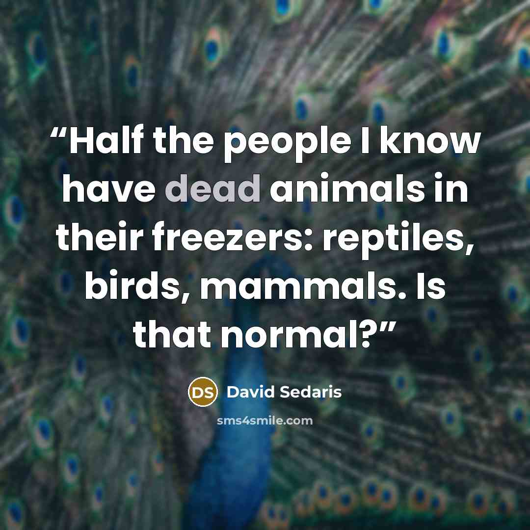 “Half the people I know have dead animals in their freezers: reptiles, birds, mammals. Is that normal?” quote by David Sedaris