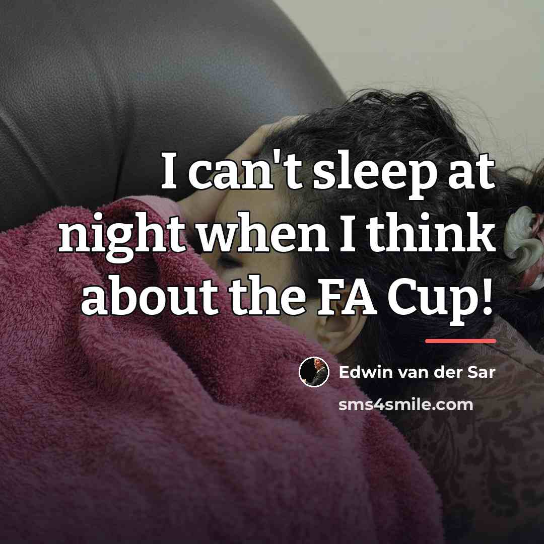 “I can't sleep at night when I think about the…” quote by Edwin van der Sar