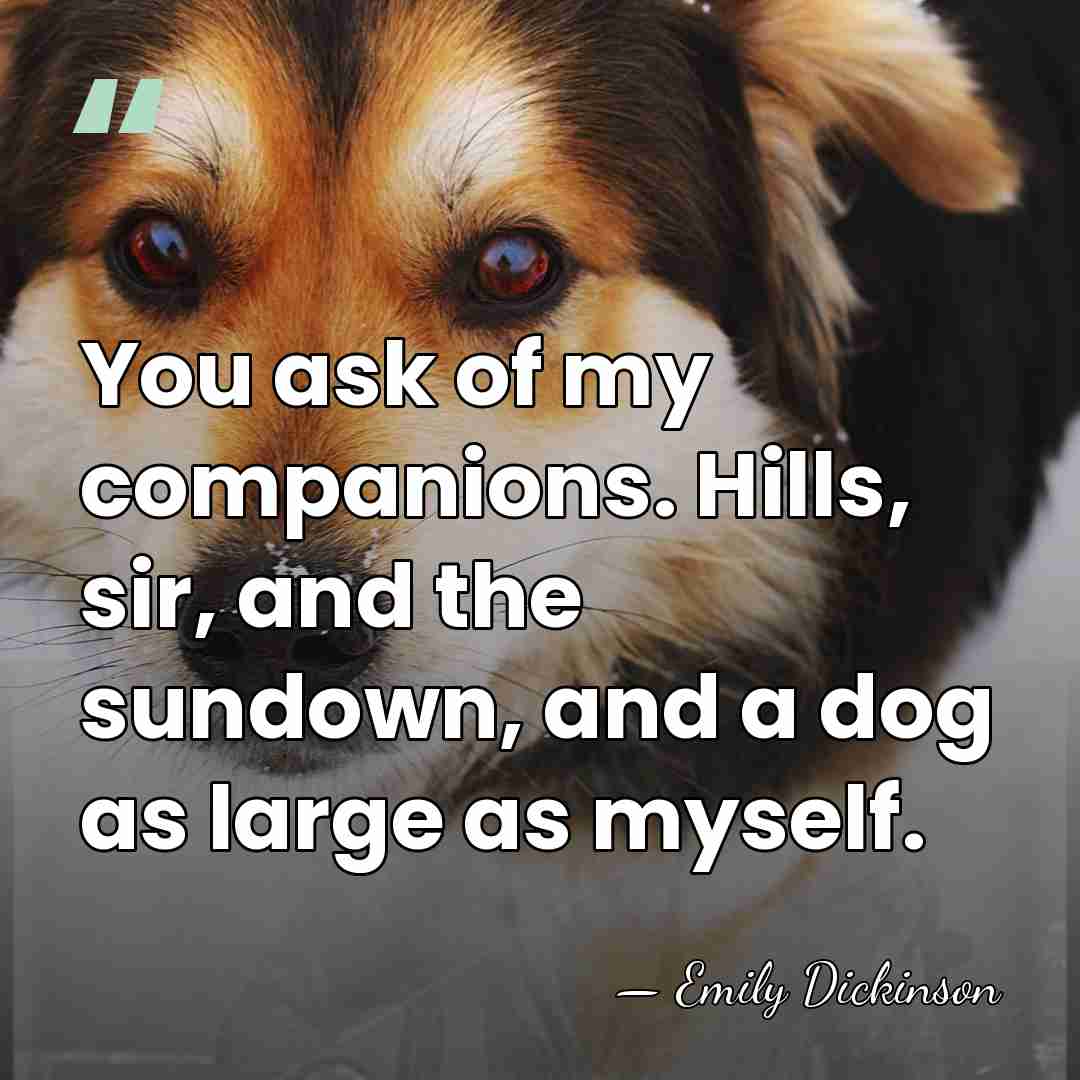 You ask of my companions. Hills, sir, and the sundown, and a&hellip; - Emily Dickinson