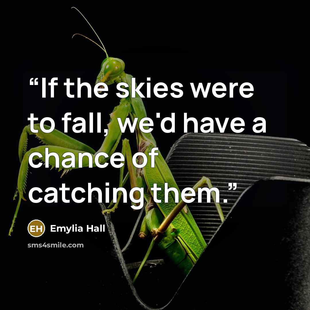 “If the skies were to fall, we'd have a chance of catching them.” quote by Emylia Hall