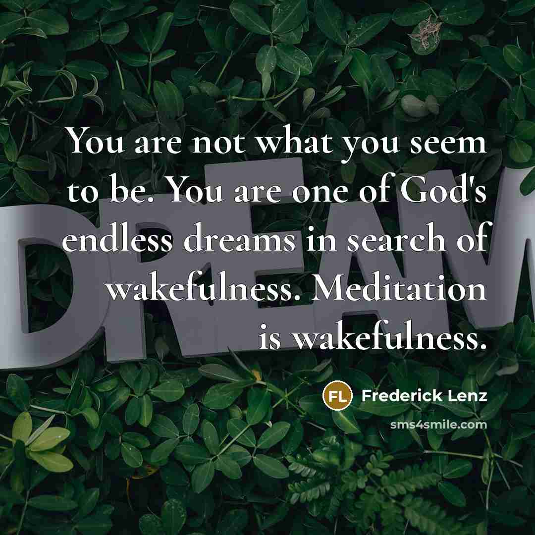 “You are not what you seem to be. You are…” quote by Frederick Lenz