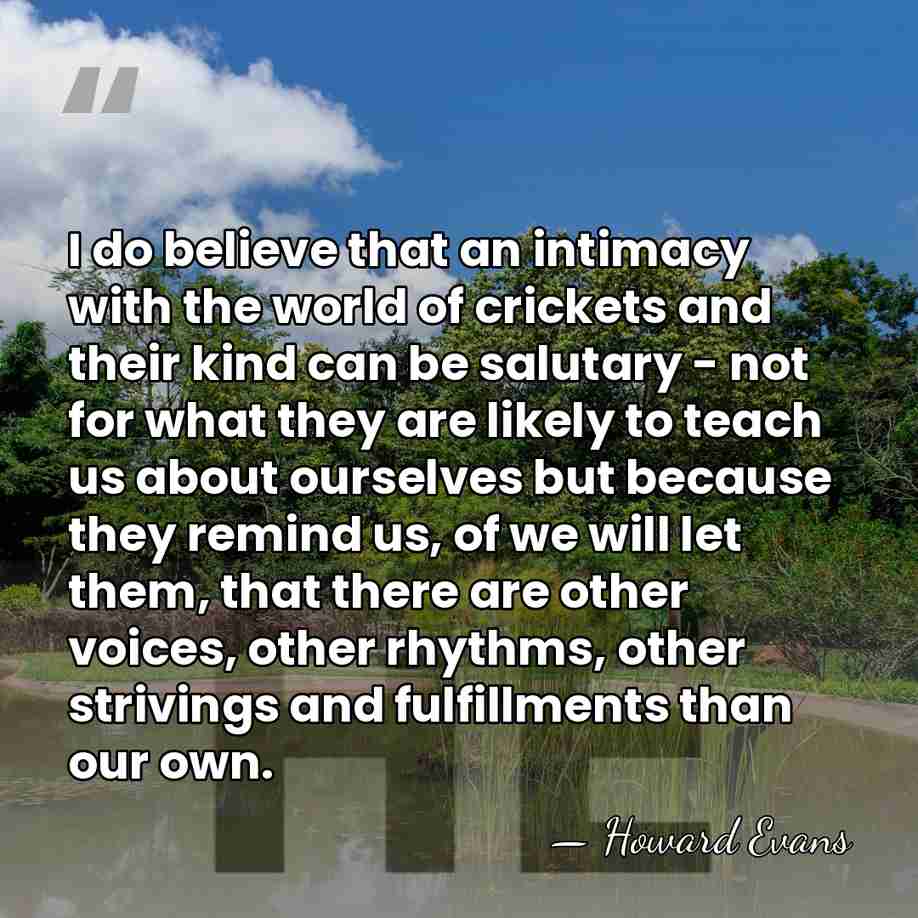 I do believe that an intimacy with the world of crickets and&hellip; - Howard Evans