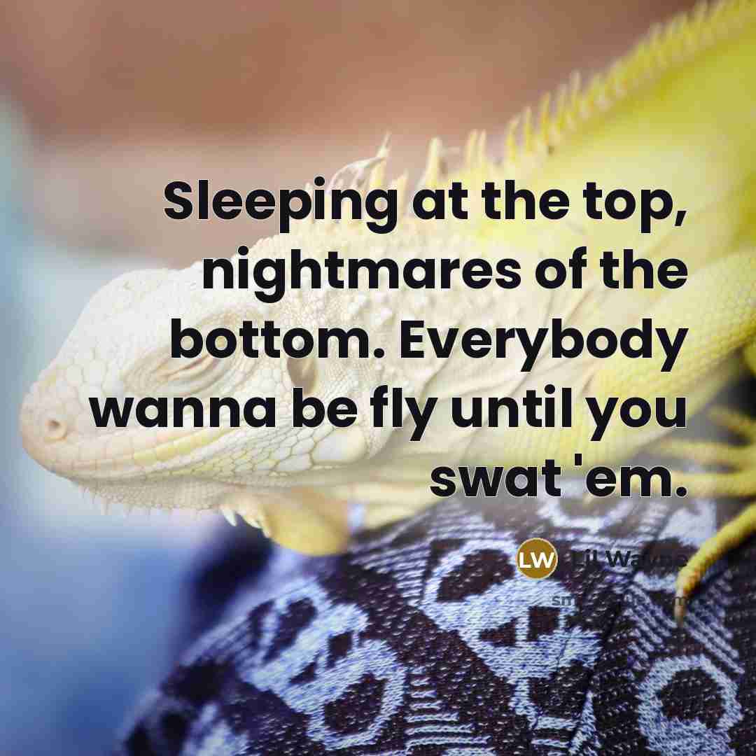 “Sleeping at the top, nightmares of the bottom. Everybody wanna…” quote by Lil Wayne