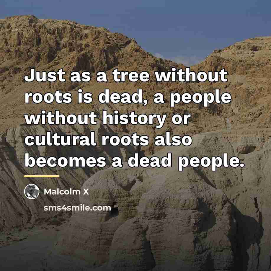 “Just as a tree without roots is dead, a people…” quote by Malcolm X