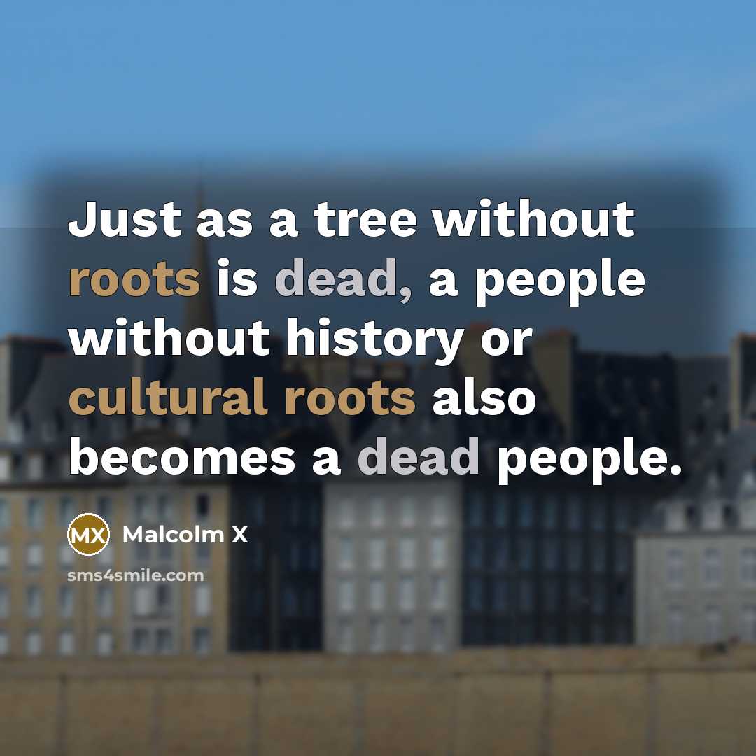 “Just as a tree without roots is dead, a people without history or cultural roots also becomes a dead people.” quote by Malcolm X