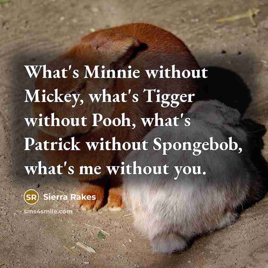 “What's Minnie without Mickey, what's Tigger without Pooh, what's Patrick…” quote by Sierra Rakes