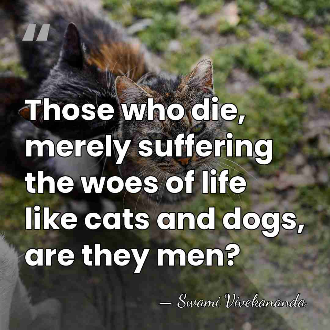 Those who die, merely suffering the woes of life like cats and&hellip; - Swami Vivekananda