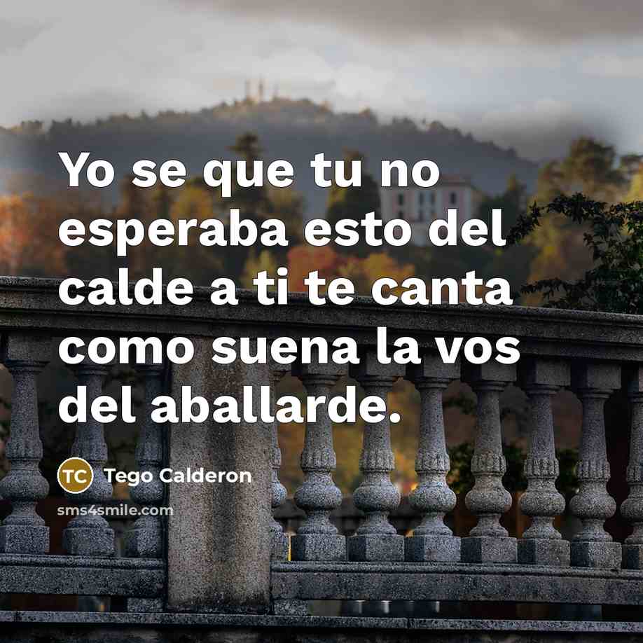 “Yo se que tu no esperaba esto del calde a ti te canta como suena la vos del aballarde.” quote by Tego Calderon