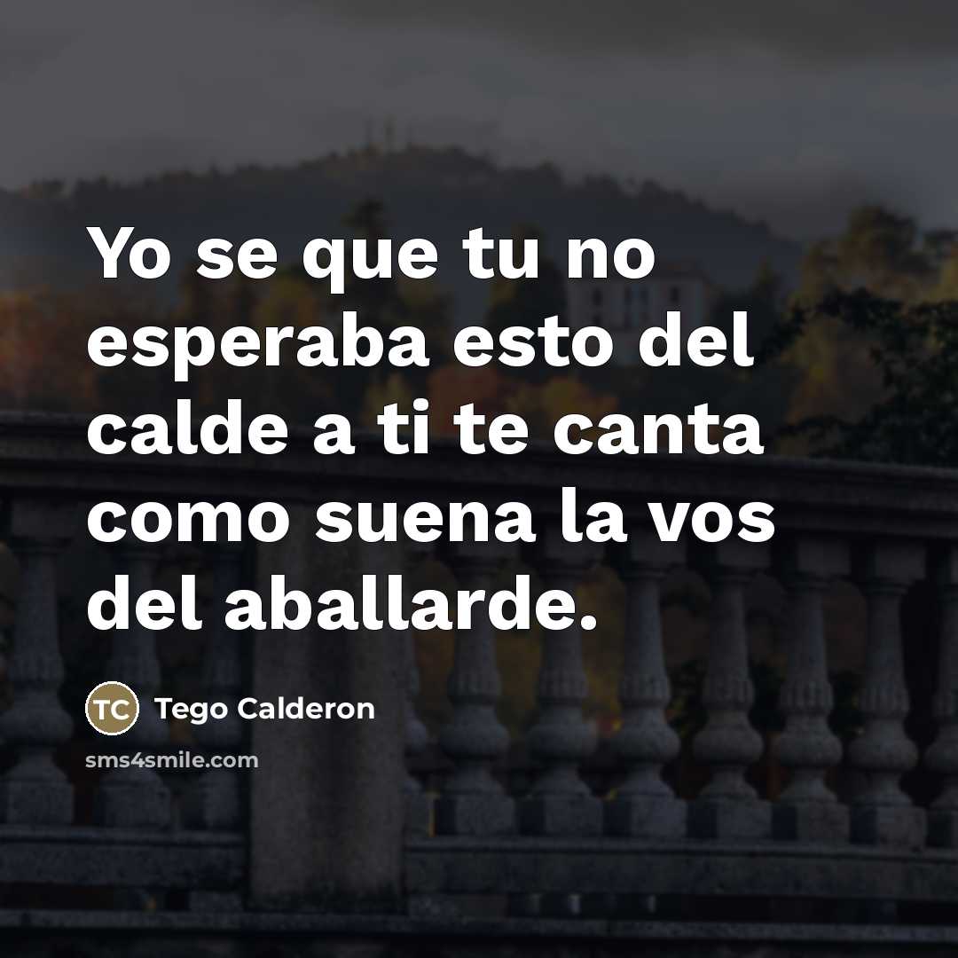 “Yo se que tu no esperaba esto del calde a…” quote by Tego Calderon