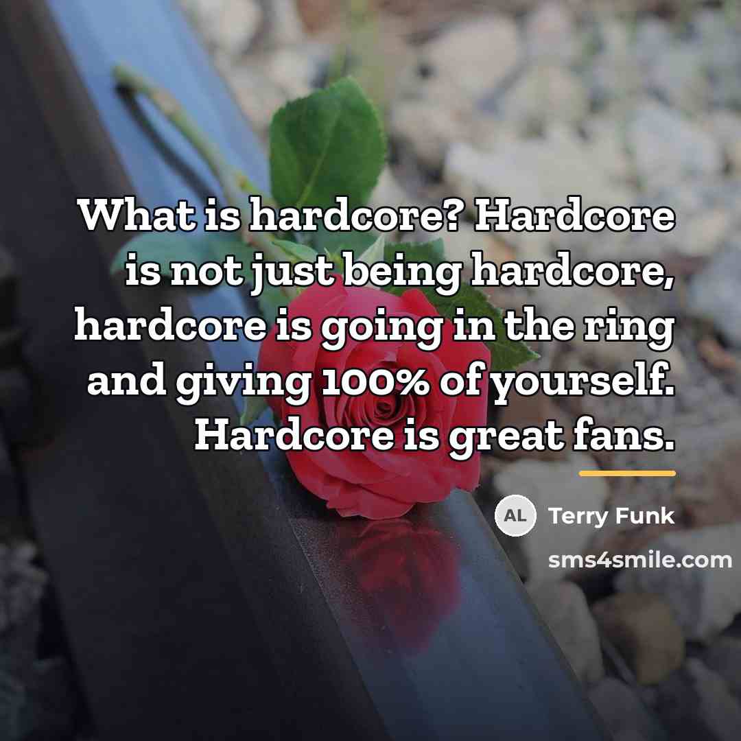 “What is hardcore? Hardcore is not just being hardcore, hardcore…” quote by Terry Funk