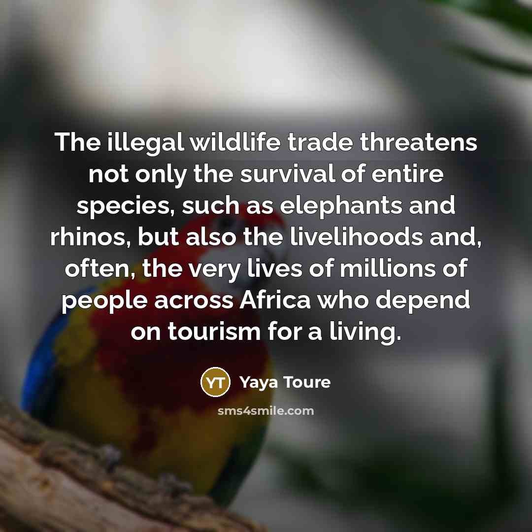 “The illegal wildlife trade threatens not only the survival of…” quote by Yaya Toure