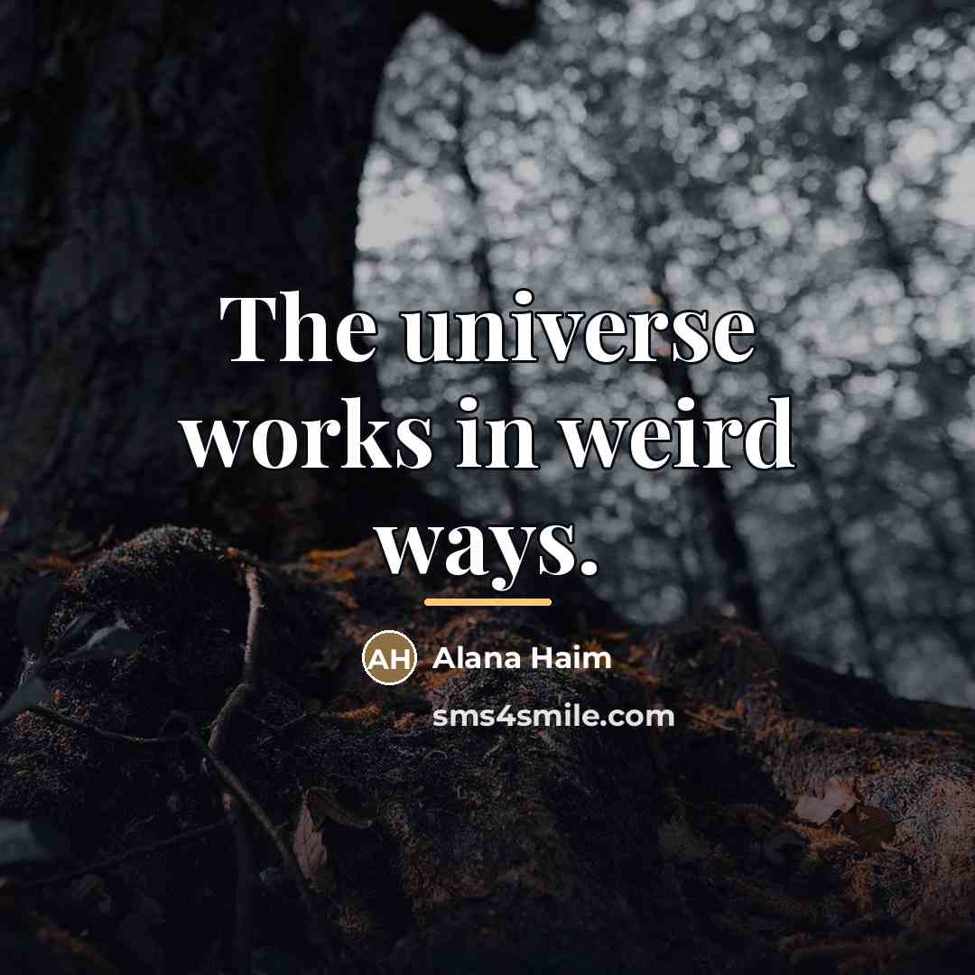 “The universe works in weird ways.…” quote by Alana Haim