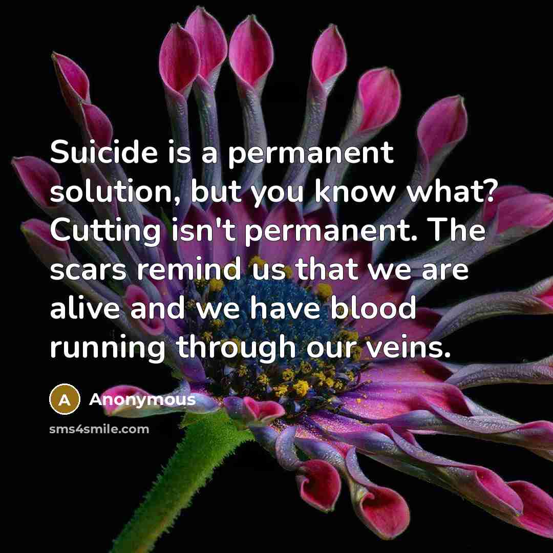 “Suicide is a permanent solution, but you know what? Cutting isn't permanent. The scars remind us that we are alive and we have blood running through our veins.” quote by Anonymous