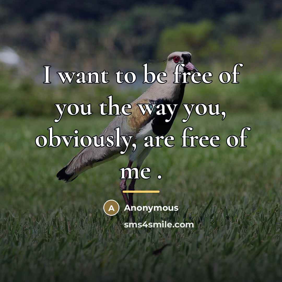 “I want to be free of you the way you,…” quote by The Count of Monte Cristo