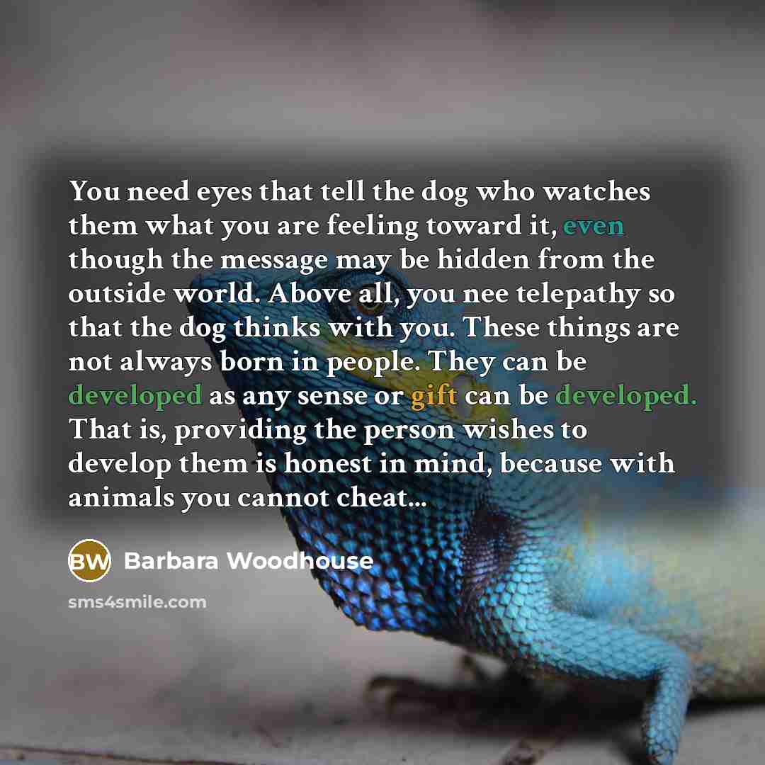“You need eyes that tell the dog who watches them…” quote by Barbara Woodhouse