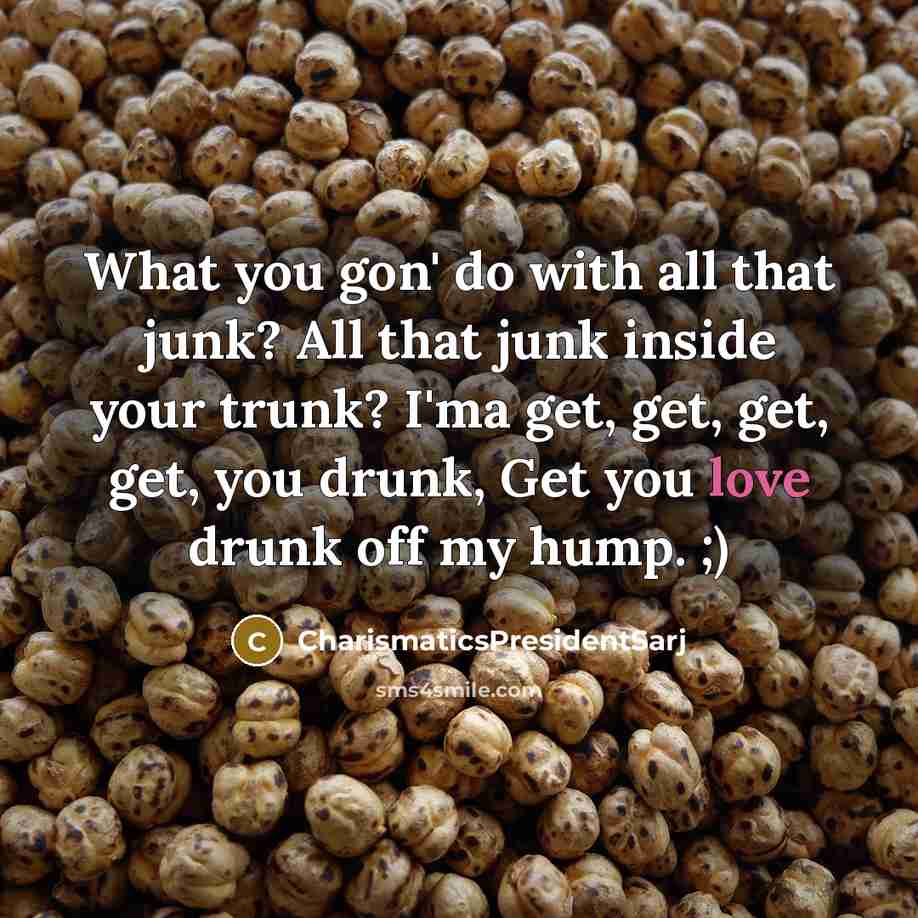 “What you gon' do with all that junk? All that…” quote by CharismaticsPresidentSarj