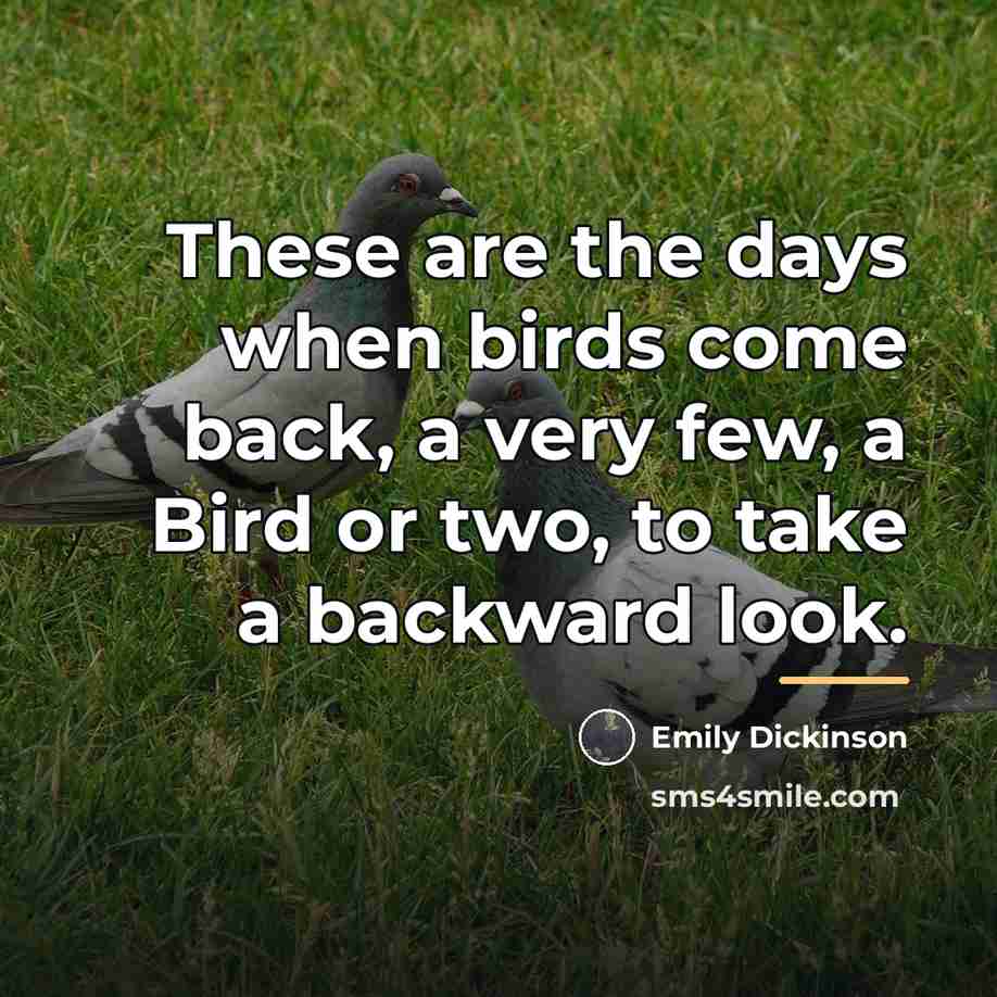 “These are the days when birds come back, a very…” quote by Emily Dickinson