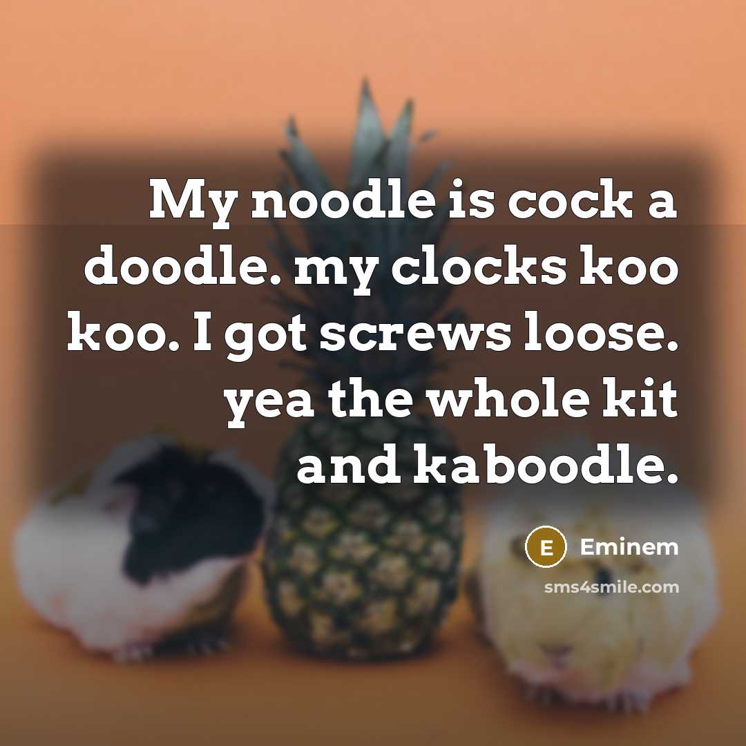 “My noodle is cock a doodle. my clocks koo koo. I got screws loose. yea the whole kit and kaboodle.” quote by Eminem