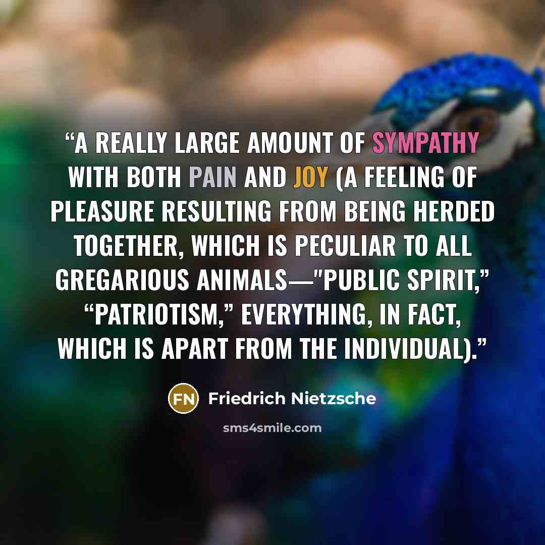 “A really large amount of sympathy with both pain and joy (a feeling of pleasure resulting from being herded together, which is peculiar to all gregarious animals—"public spirit,” “patriotism,” everything, in fact, which is apart from the individual).” quote by Friedrich Nietzsche