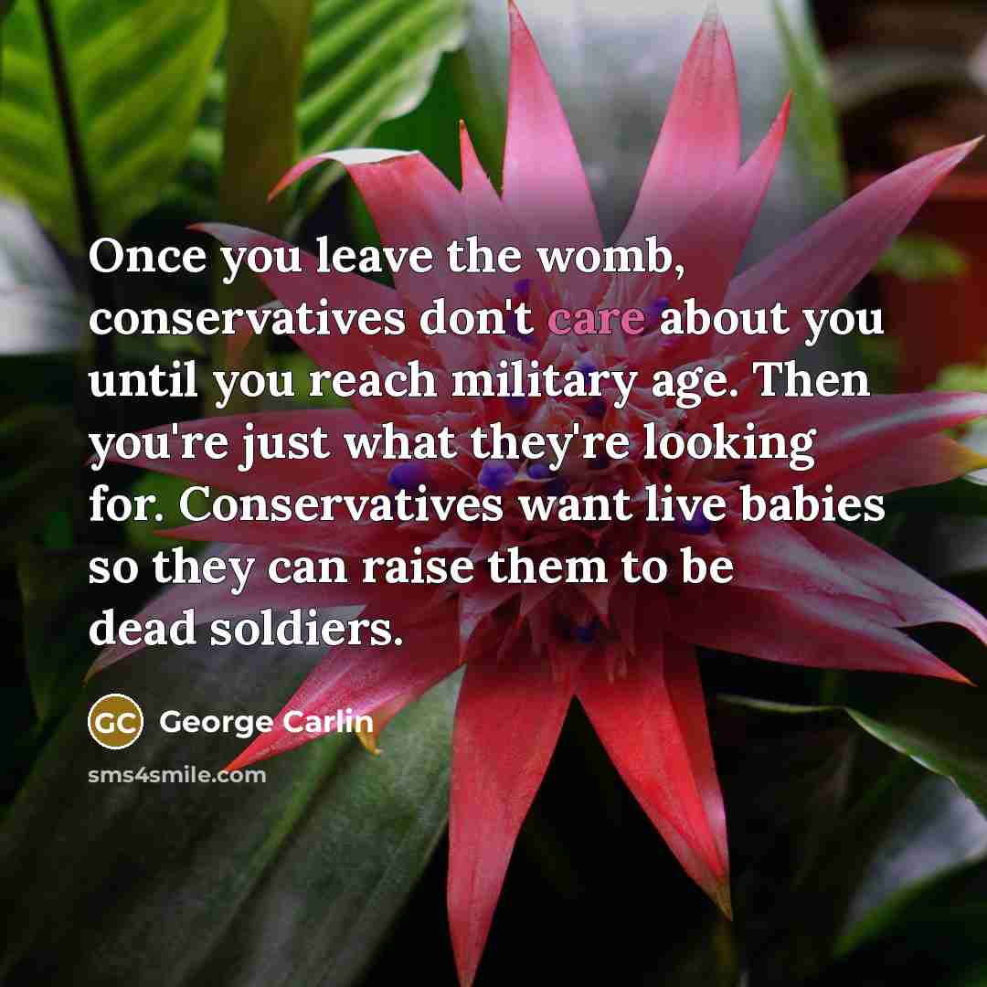 “Once you leave the womb, conservatives don't care about you…” quote by George Carlin
