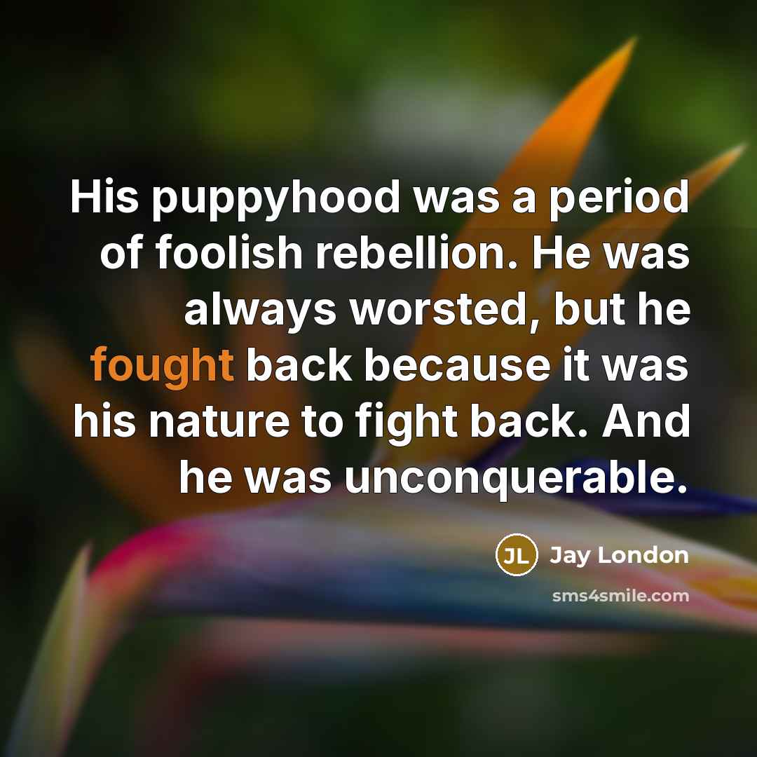 “His puppyhood was a period of foolish rebellion. He was…” quote by Jay London