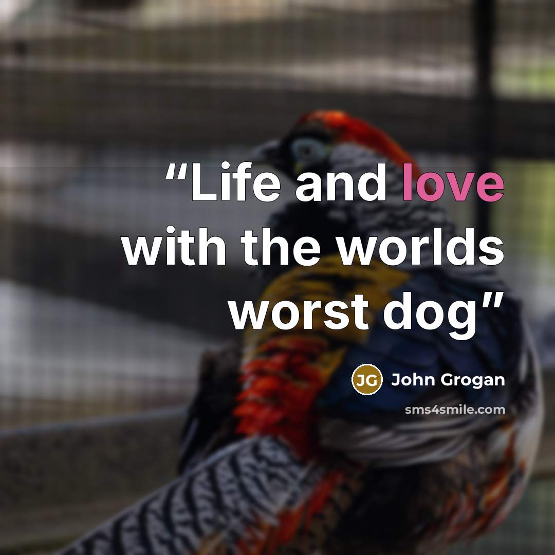 “Life and love with the worlds worst dog” quote by John Grogan