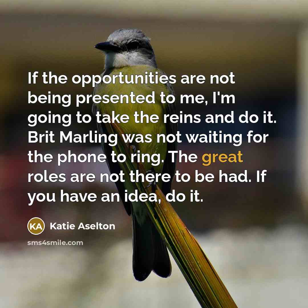 “If the opportunities are not being presented to me, I'm…” quote by Katie Aselton